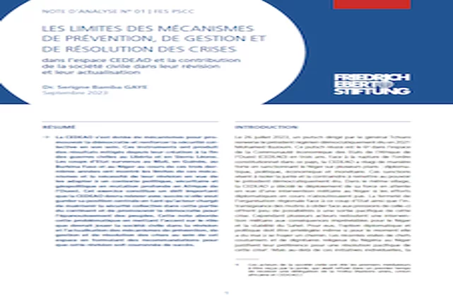 Les limites des mécanismes de prévention, de gestion et de résolution des crises