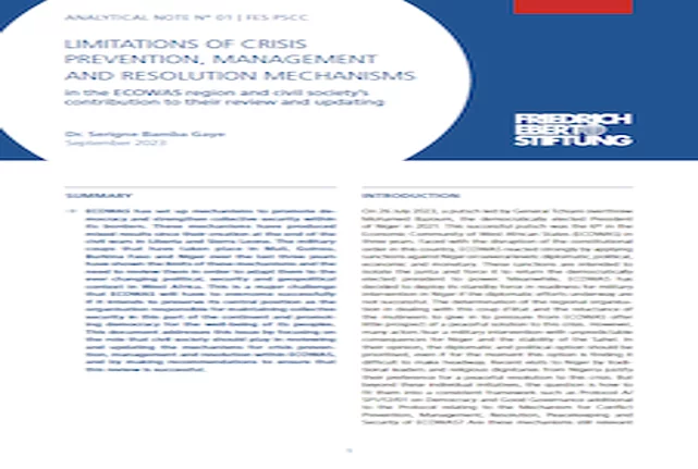Limitations of crisis prevention, management and resolution mechanisms