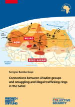 Connections between Jihadist groups and smuggling and illegal trafficking rings in the Sahel