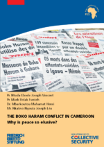 The Boko Haram conflict in Cameroon