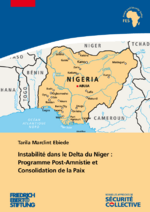 Instabilité dans le Delta du niger