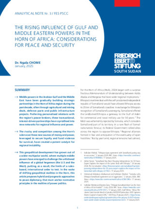 The rising influence of Gulf and Middle Eastern powers in the Horn of Africa